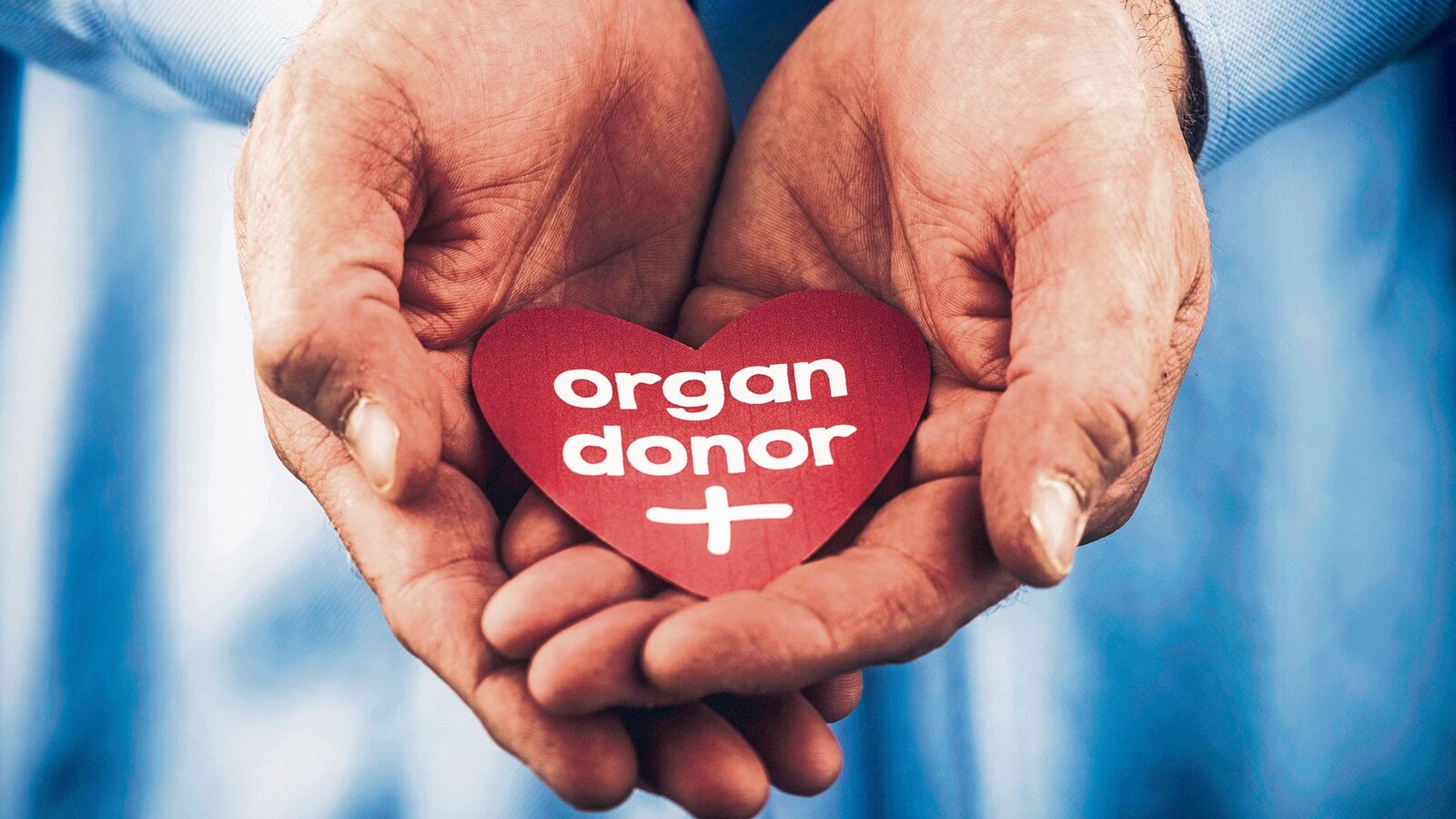 Female patients, relatives of deceased donors to get priority in organ transplants