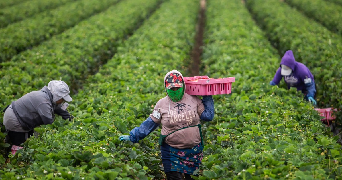 Tariffs and deportations are contributing to rising prices and fewer immigrant workers