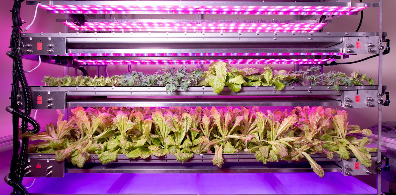 Why grow plants in space? They can improve how we produce food and medicine on Earth