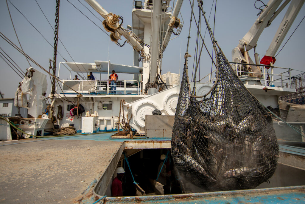 Human Impacts on Ocean Could Double or Triple by 2050, a New UC Santa Barbara Study Warns