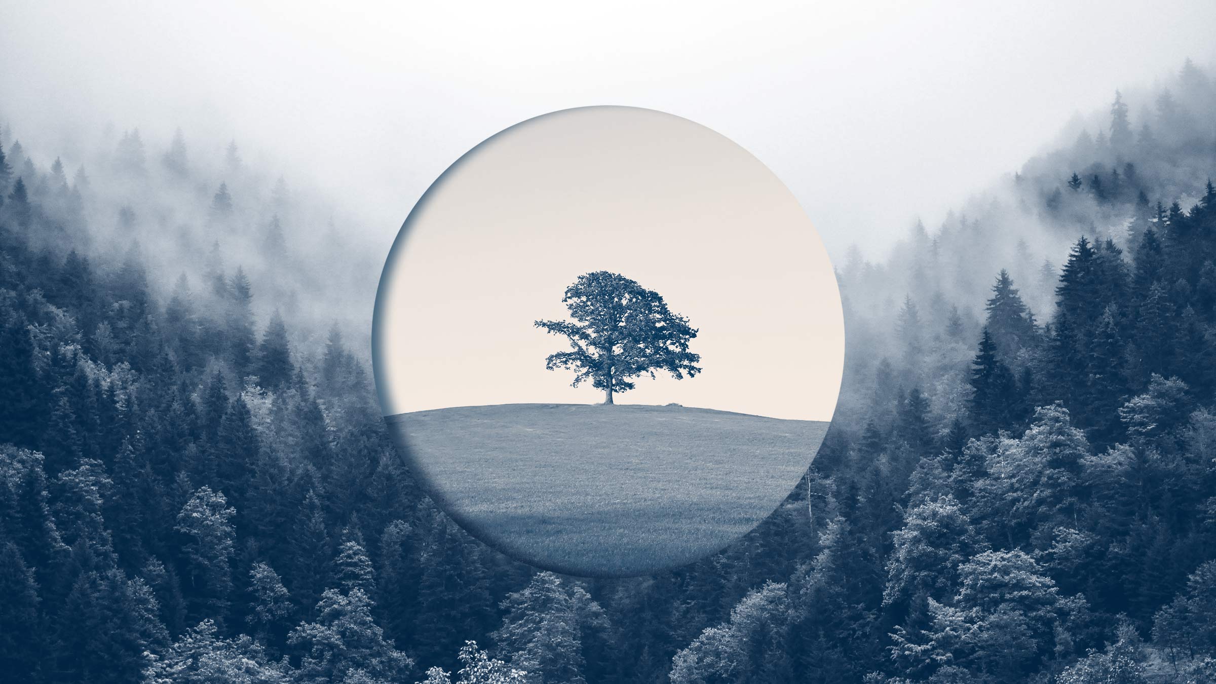 Research: How Old Companies Can Ignite New Growth