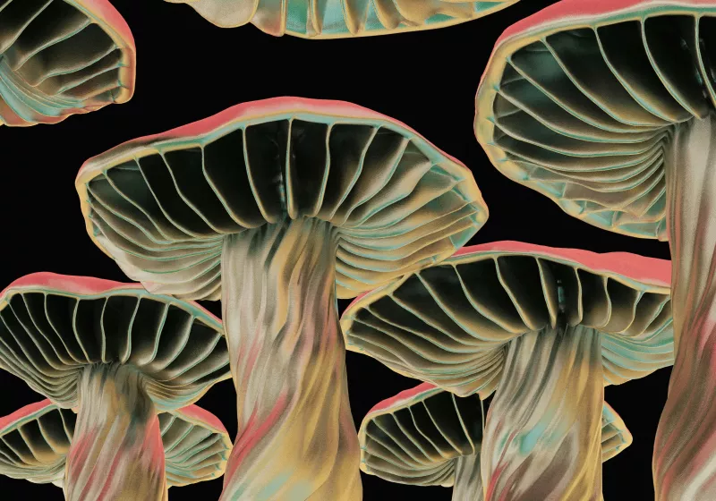 Researchers turn mushrooms into living memory chips for sustainable computing