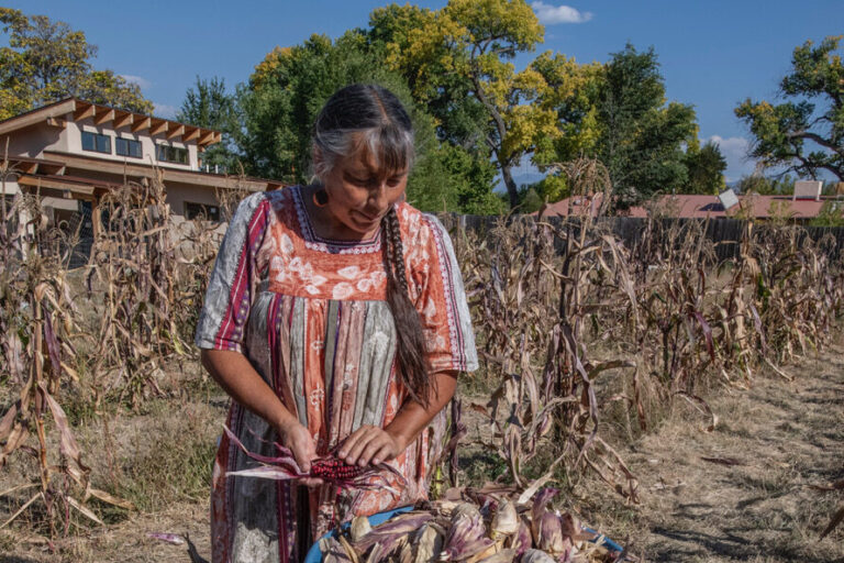 From waffle gardens to terraces, Indigenous groups revive farming heritage in America’s deserts