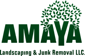 Amaya Landscaping and Junk Removal Introduces Comprehensive Yard Drainage Solutions for South Plainfield Homeowners