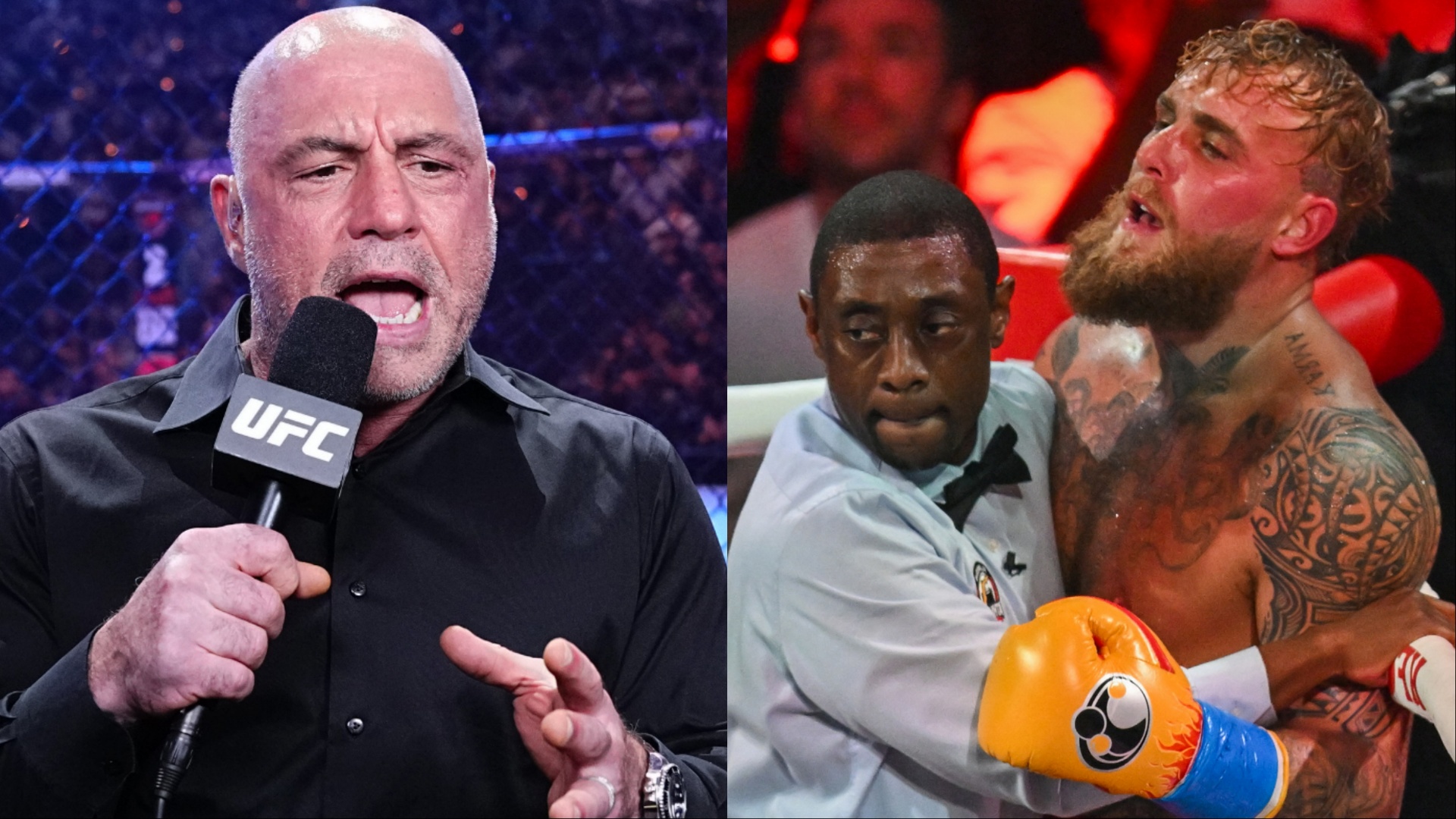 Joe Rogan attempts to persuade Jake Paul towards retirement after knockout loss to Anthony Joshua