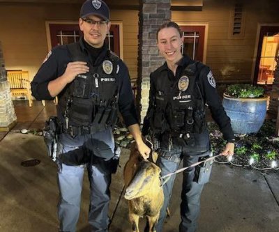 Goat ‘detained’ for trying to break into retirement community