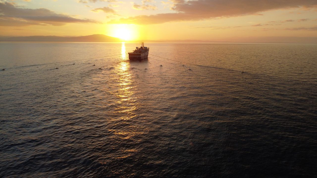 Eni taps Shearwater GeoServices for work in Timor Sea