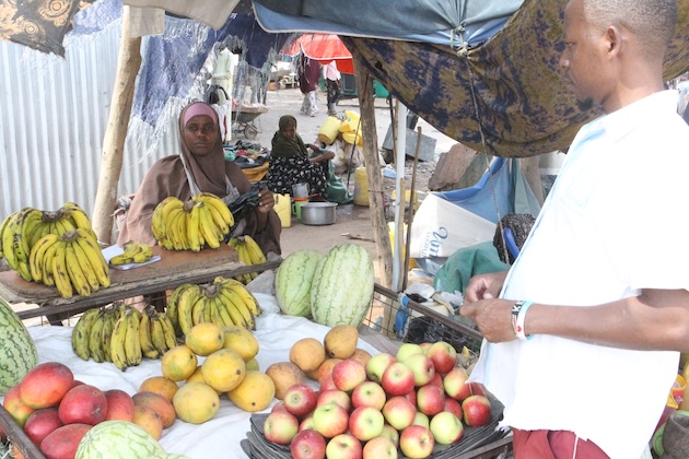 Extreme Heat Undermines Decent Work in North Eastern Kenya