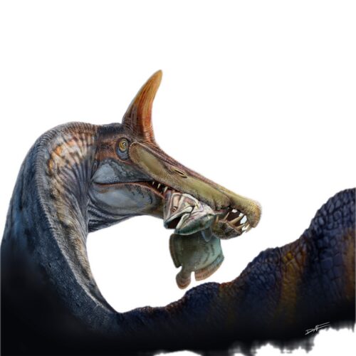 A unicorn-like Spinosaurus found in the Sahara