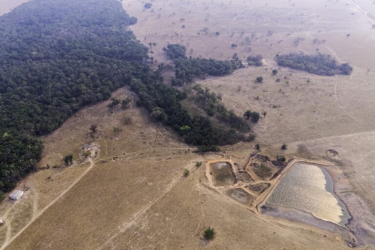 In Brazil, regenerative farming advances, but deforestation still pressures ecosystems