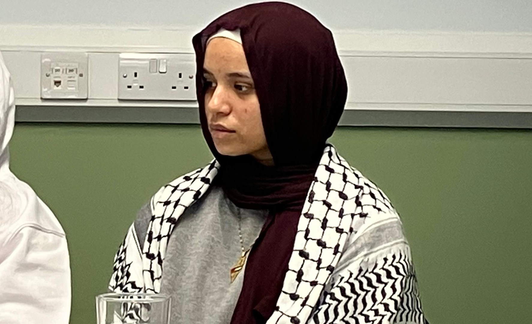 UK pro-Palestine activist arrested weeks after being released on bail