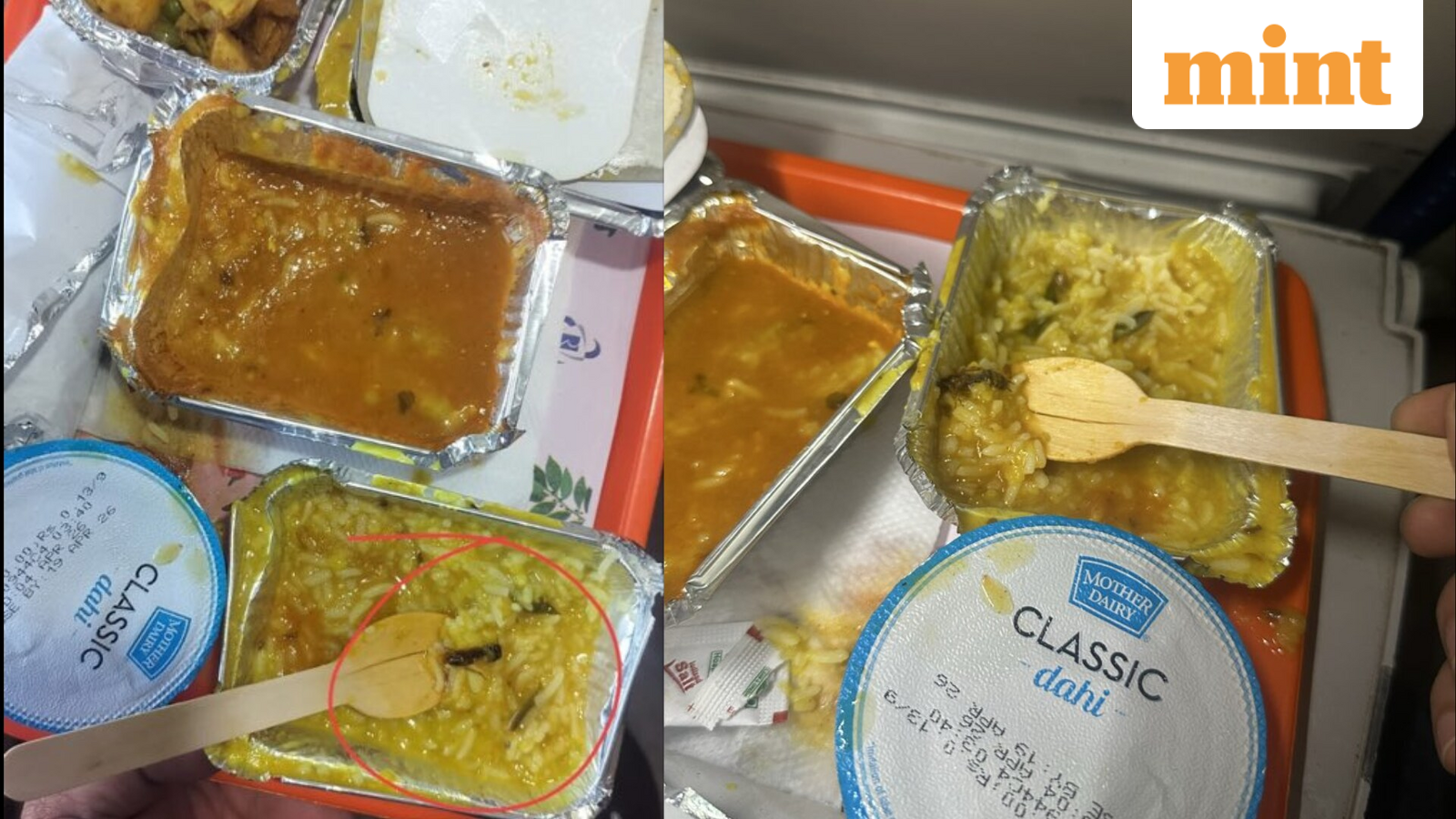 IRCTC imposes  ₹10 lakh penalty on vendor after insect found in Vande Bharat meal