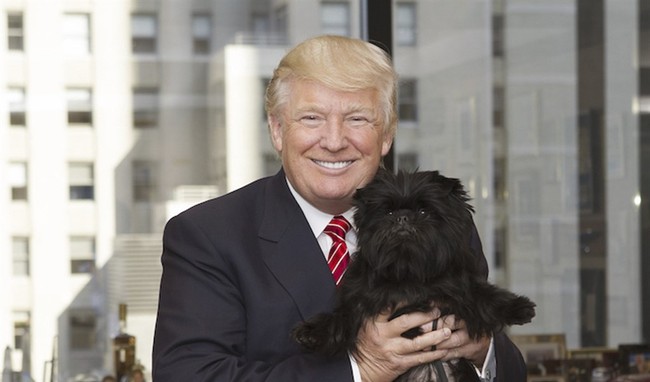 WATCH: Poodles and Bullet-Proof Vests? President Trump’s Got Jokes
