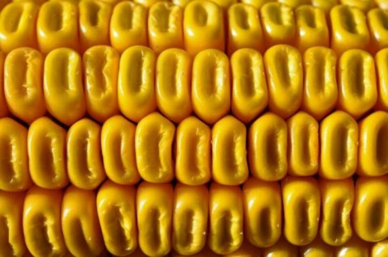 Corn Facing Thursday Pressure