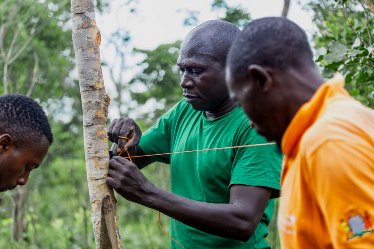 Radio and satellite alerts help Zambian farmers live with dangerous wildlife