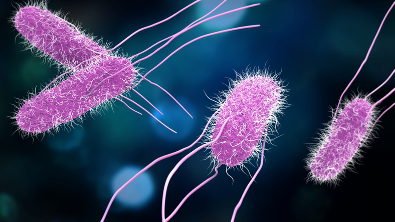 The food recalls, alerts issued over salmonella concerns this month