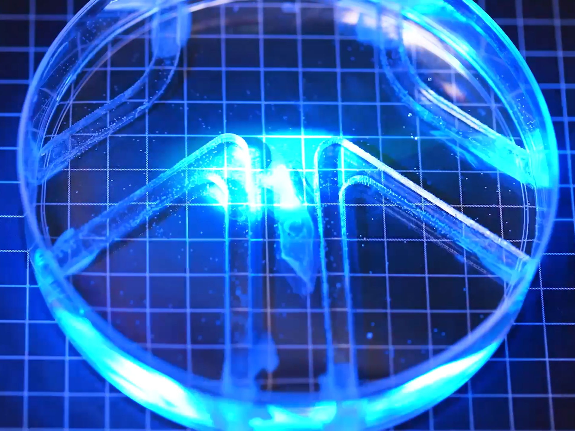 Paper-thin biohybrid robot with muscle cells swims through water maze